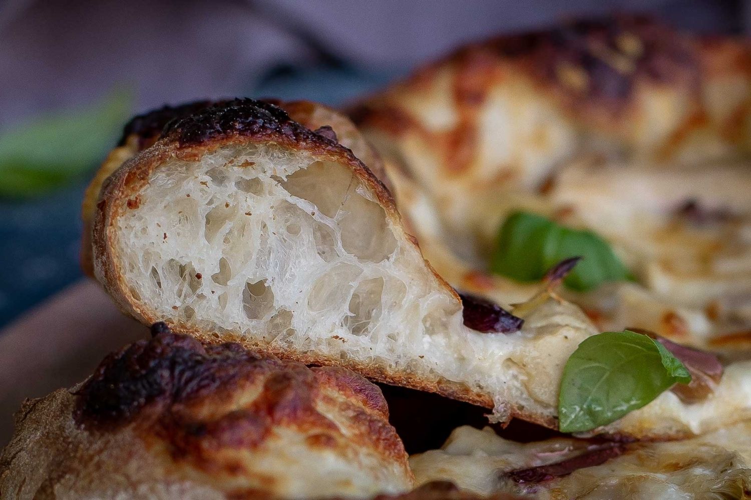 bread-machine-pizza-dough-recipe