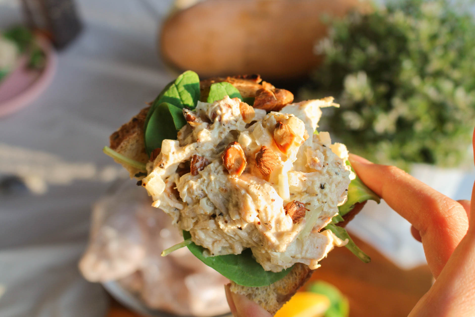 greek-yogurt-chicken-salad-recipe