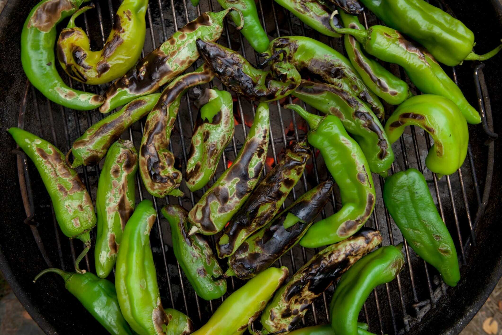 hatch-chili-recipe